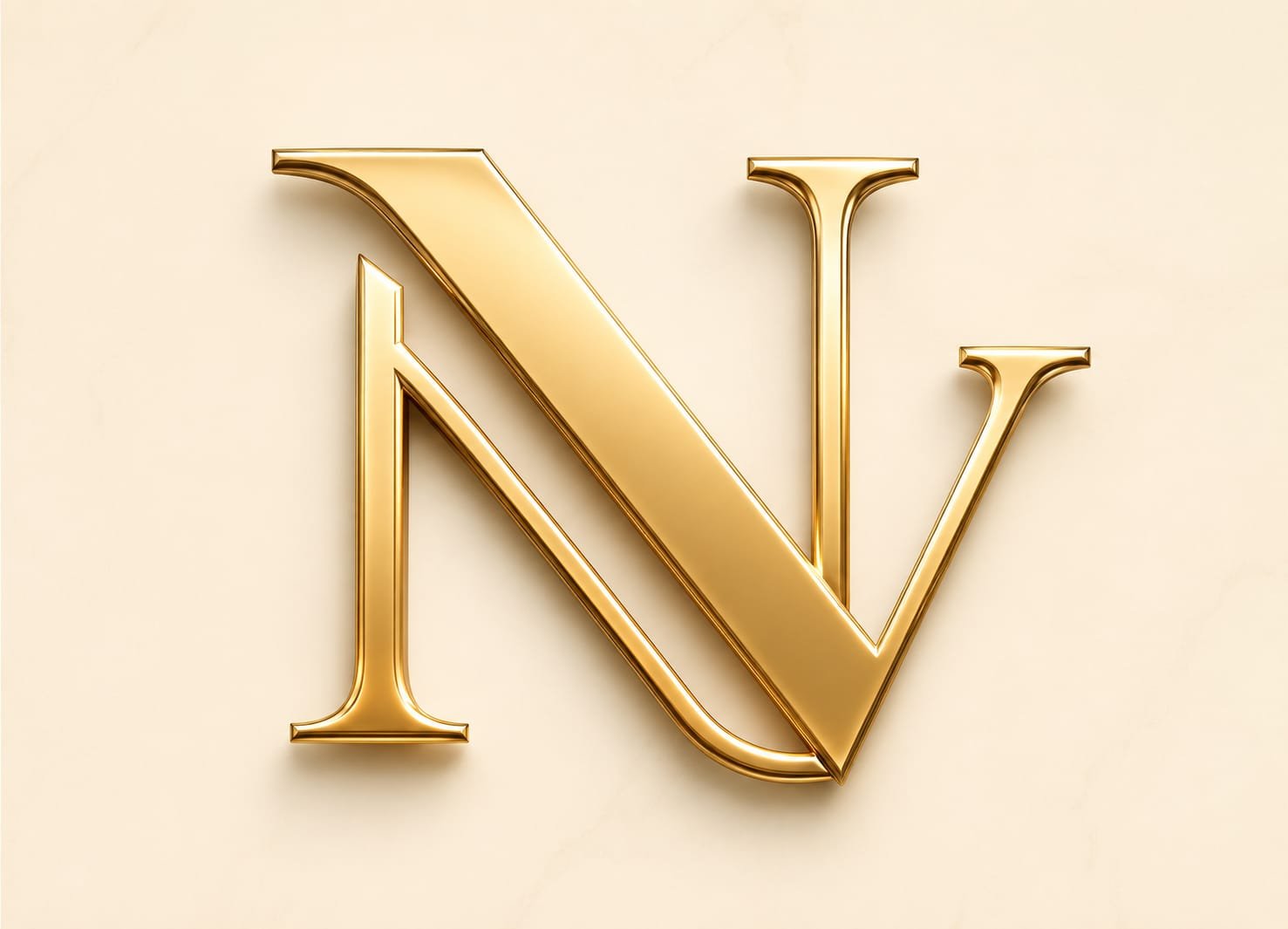 Nirvika logo